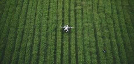 IA na agricultura: exemplos práticos no Brasil