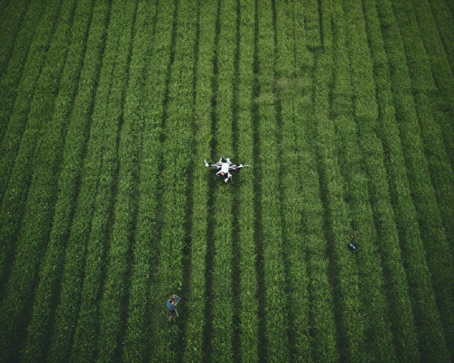 IA na agricultura: exemplos práticos no Brasil