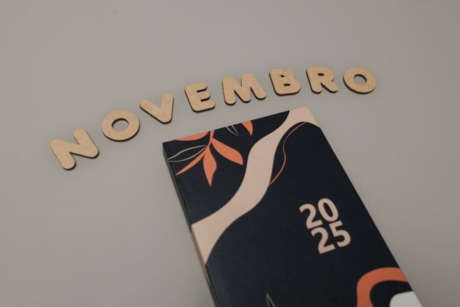 Como organizar uma rotina de divulgação eficiente