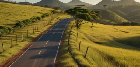 Mobilidade Rural: Transporte no Interior Brasileiro